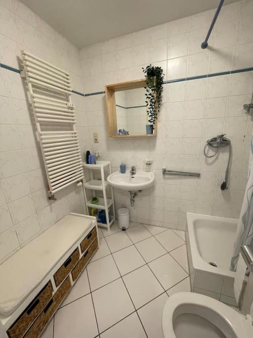 Studio-apartment Mit Balkon * Drezno