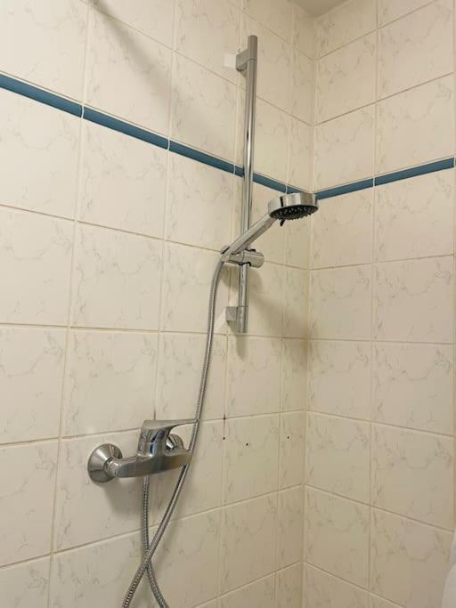 Studio-apartment Mit Balkon * Dresden